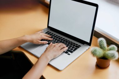 Onun laptop ile boş kopya alanı perde için ofis, reklam metin iletinizi çalışan genç kadınlar arkadan görünüm iş kadın el Ofis Masası dizüstü bilgisayar kullanarak meşgul.