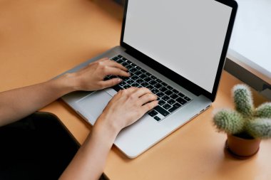 Onun laptop ile boş kopya alanı perde için ofis, reklam metin iletinizi çalışan genç kadınlar arkadan görünüm iş kadın el Ofis Masası dizüstü bilgisayar kullanarak meşgul.