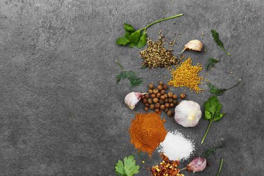 Baharat seçimi, siyah taş masada otlarl. Yemek pişirmek için malzemeler. Yemek geçmişi. Kopyalama alanı ile üstte görünüm.