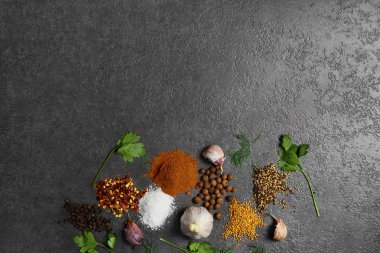 Baharat seçimi, siyah taş masada otlarl. Yemek pişirmek için malzemeler. Yemek geçmişi. Kopyalama alanı ile üstte görünüm.