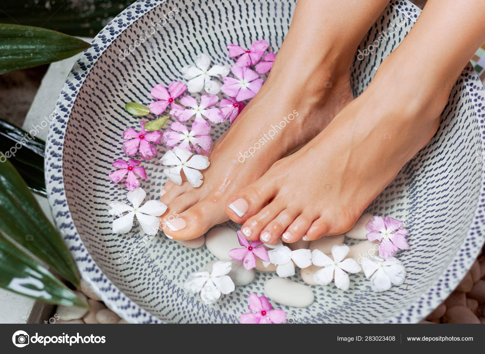 Spa Treatment Product Woman Feet Foot Spa Foot Bath Bowl Stock Photo By spa-treatment-product-woman-feet-foot-spa-foot-bath-bowl-stock-photo-by