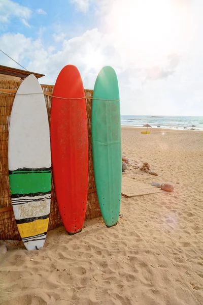 Amado, plaj ve sörfçü spot, Algarve Portekiz Avrupa sörf tahtaları Praia adlı yapmak