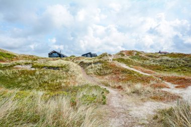Kumul manzara ile tatil evleri Henne Strand, Jutland Danimarka İskandinavya yakınındaki kuzey denizde