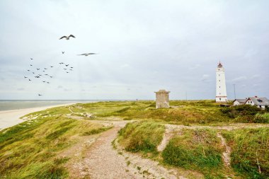 Deniz feneri ve kum tepeleri Jutland Danimarka Avrupa Blavand plaj üzerinde sığınakta