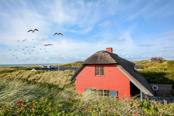 Paesaggio Delle Dune Nel Mare Del Nord Jutland Danimarca Scandinavia — Foto Stock