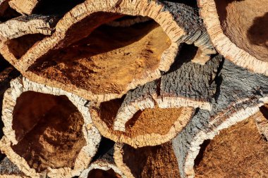 Alentejo bölgesinde şarap mantarı stoper endüstriyel üretimi için mantar meşe ağacı (Quercus suber) gövdesinden hasat mantar meşe kabuğu, Portekiz