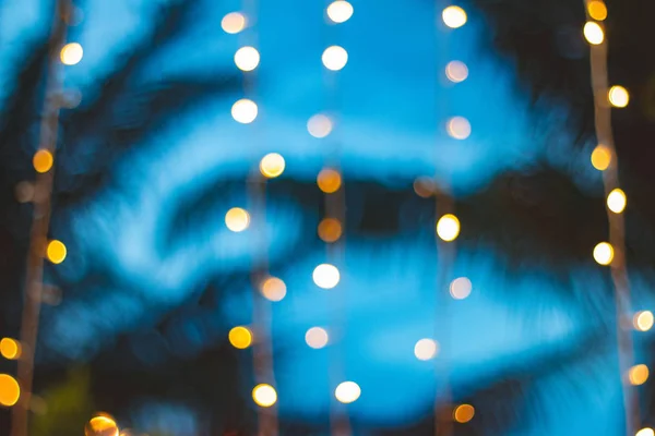 Hindistan cevizi hurma ağacı arka plan günbatımı ile bulanık ışık bokeh