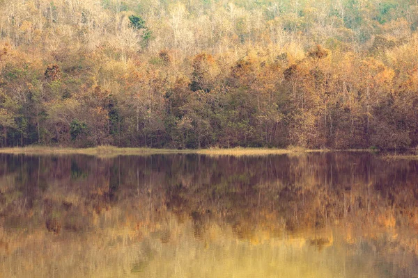 Tropical Forest Reflect Lake Sunrise Beautiful Landscape Morning Time Warm — Stock Photo, Image