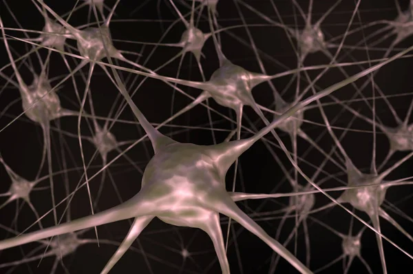 Beyindeki sinir hücreleri. 3D render illüstrasyon.