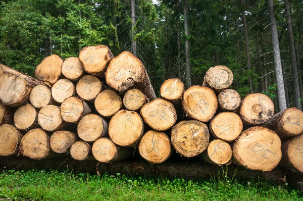 Trunks of trees with denoted tree trunk diameter stacked on the ground