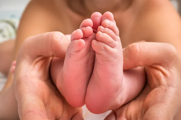 Новорожденные Детские Ноги Руках Матери Понятие Семейной Любви — стоковое фото