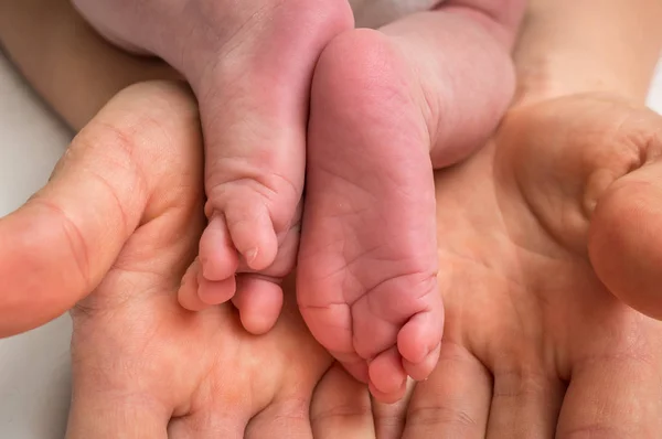 Eller Ayaklarda Yeni Doğan Bebek Anne Aile Aşk Kavramı — Stok fotoğraf