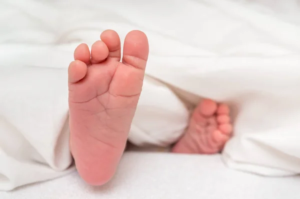 Bebé Recién Nacido Pies Cama Bajo Una Manta Blanca — Foto de Stock
