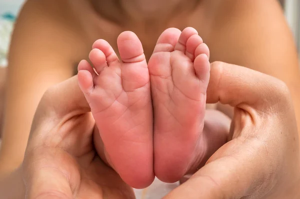 Vastasyntyneet Vauvan Jalat Äidin Käsissä Perheen Rakkauden Käsite — kuvapankkivalokuva