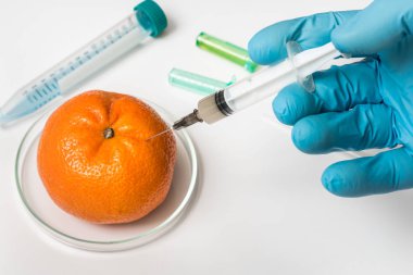 GDO bilim adamı şırınga mandalina - genetik olarak sıvı enjekte gıda kavramı modifiye