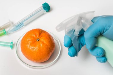 GDO bilim adamı mandalina - genetiği değiştirilmiş gıda kavramı sıvı püskürtme