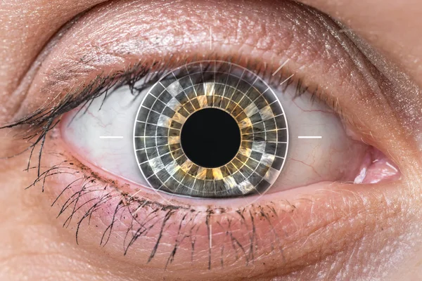 Mänskliga ögat inläsning och tolkning - biometrisk identifiering — Stockfoto