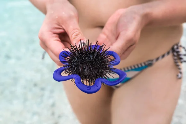 Mujer sostiene erizo de mar en la playa cerca del mar — Foto de Stock