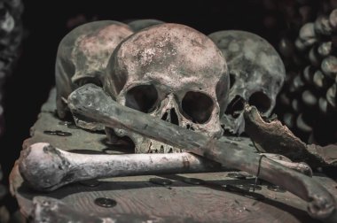 insan kafatasları ve kemikleri