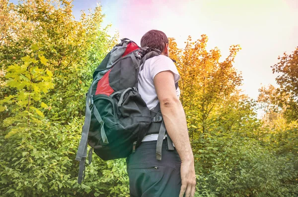 Traveler man med röd ryggsäck promenader i höst skog — Stockfoto