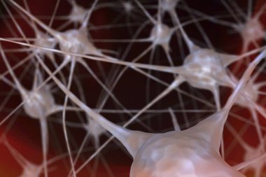 beyindeki sinir hücreleri