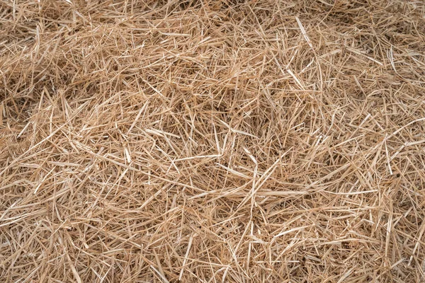 Grama de feno ou palha após a colheita no campo de fazenda do país — Fotografia de Stock