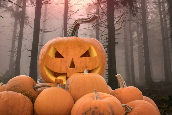 Citrouilles d'Halloween dans une forêt effrayante — Photo