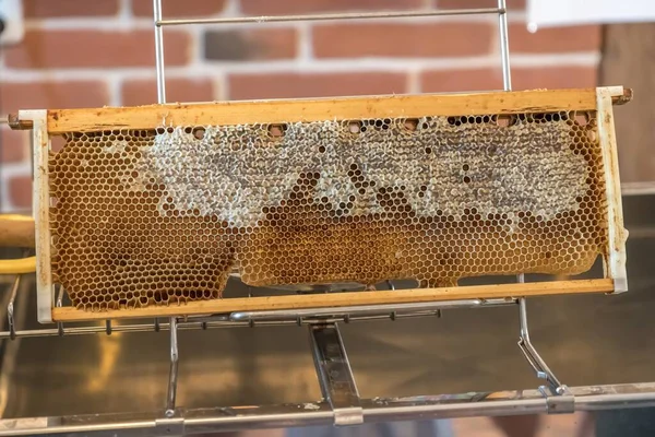 蜂の巣から蜂蜜と天然のハニカム — ストック写真