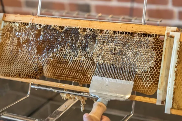 Panal Natural Con Miel Una Colmena Abejas —  Fotos de Stock