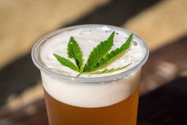 Köpük yüzeyinde marihuana yapraklı kenevir birası.