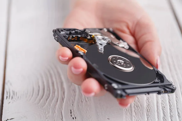 Gegevens Harde Schijf Back Upschijf Hdd Schijf Herstel Herstellen Herstel — Stockfoto