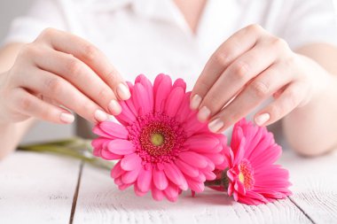 Yumuşak el koruma kadın kritik gün, jinekolojik adet döngüsü, pembe gerbera için ihale