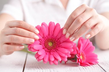 El Spa ve vücut bakım kavramı, pembe gerbera