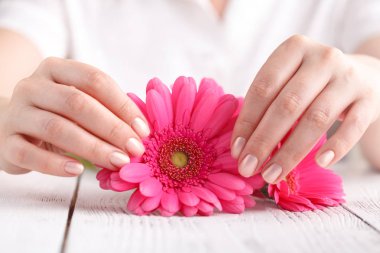 Kadın tutun pembe çiçek gerbera beyaz arka plan üzerinde elinde