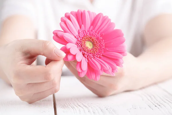 Kvinnliga Hälso Koncept Handfattning Rosa Floower Gerbera — Stockfoto