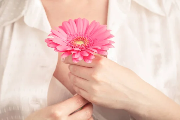 Vrouwelijke Gezondheidszorg Concept Hand Houden Roze Floower Gerbera — Stockfoto