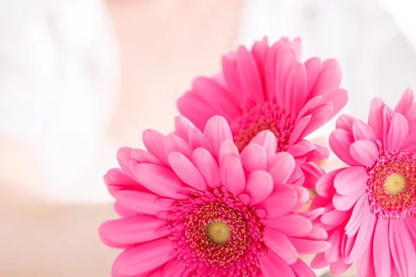 Kvinnliga Hälso Koncept Handfattning Rosa Floower Gerbera — Stockfoto