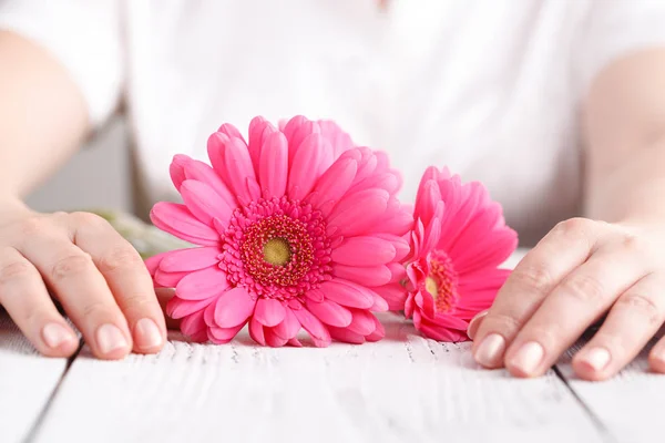 Roze Bloem Gerbera Vrouwelijke Handen Close Weergave Vrouwelijke Care Concept — Stockfoto