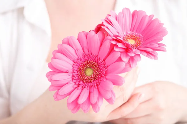 Kvinnliga Vård Koncept Rosa Gerbera Händer — Stockfoto