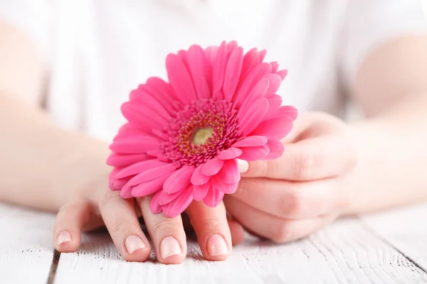 Kvinna Medicinsk Vård Koncept Rosa Blomma Gerbera Hand — Stockfoto