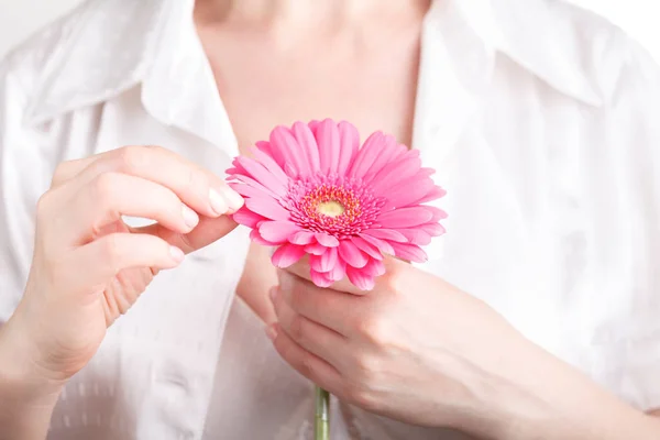 Kvinna Hygien Befruktningen Rosa Blomma Gerbera Kvinnliga Händer — Stockfoto