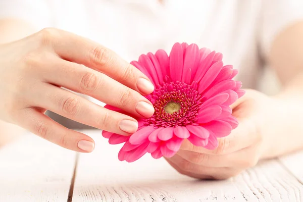 Mjuka Ömma Skydd För Kvinnan Kritiska Dagar Gynekologisk Menstruationscykeln Rosa — Stockfoto