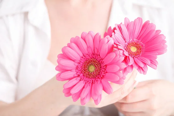 Spa Och Kropp Vård Koncept Rosa Gerbera Kvinnlig Hand — Stockfoto