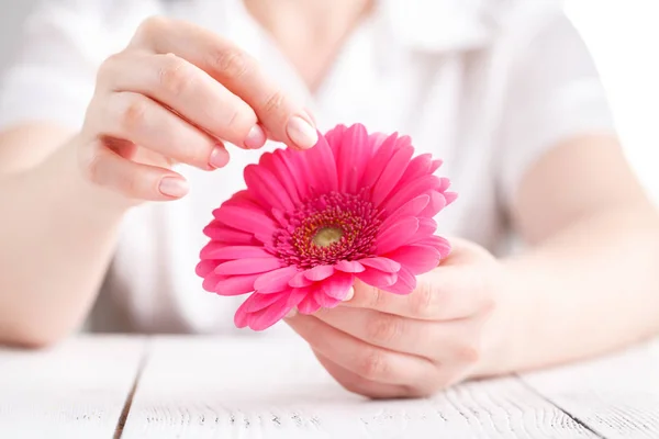 Kvinnlig Hälsa Och Kropp Vård Koncept Rosa Gerbera Händer — Stockfoto