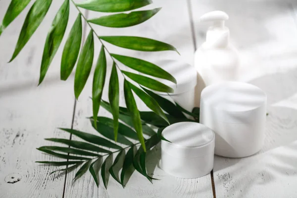 Kozmetik şişe kapları ile yeşil bitki yaprakları, marka mock-up, doğal organik güzellik ürün kavramı için boş etiket paketi