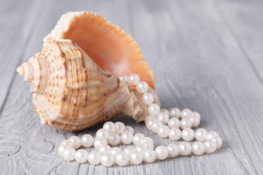 Düğün inci ve deniz kabuğu ile arka plan. Lüks düğün arka plan