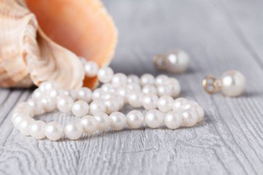 Düğün inci ve deniz kabuğu ile arka plan. Lüks düğün arka plan