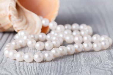 İnci ve deniz kabuğu ile düğün arka plan.