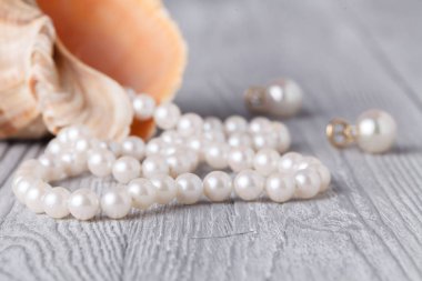 İnci ve deniz kabuğu ile düğün arka plan.