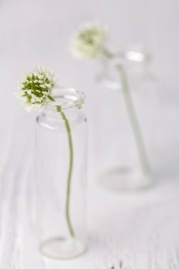 Yaz ruh ile beyaz Yonca Ahşap tablo